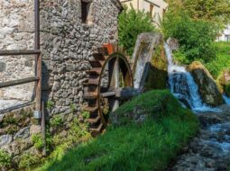 Grady Gaston-Harrison Mill