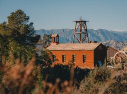 Mill Powered Economy